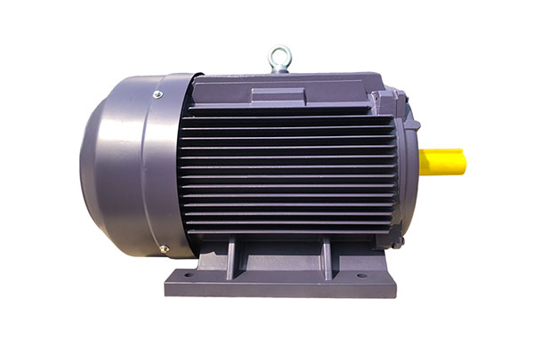 YE4 Series Three-phase Asynchronous Motor