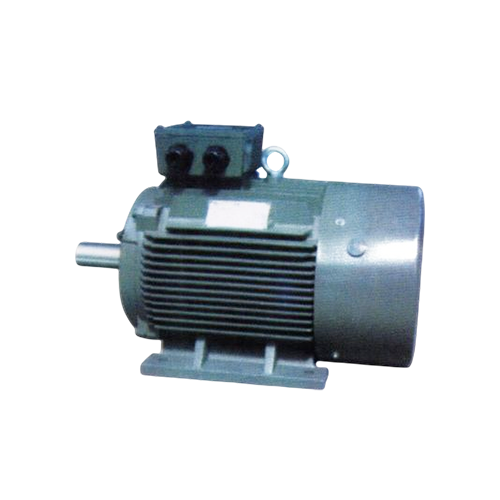 IEC Standard Motor