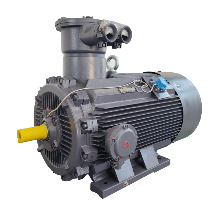 Three Phase Explosion Proof Motor Factory