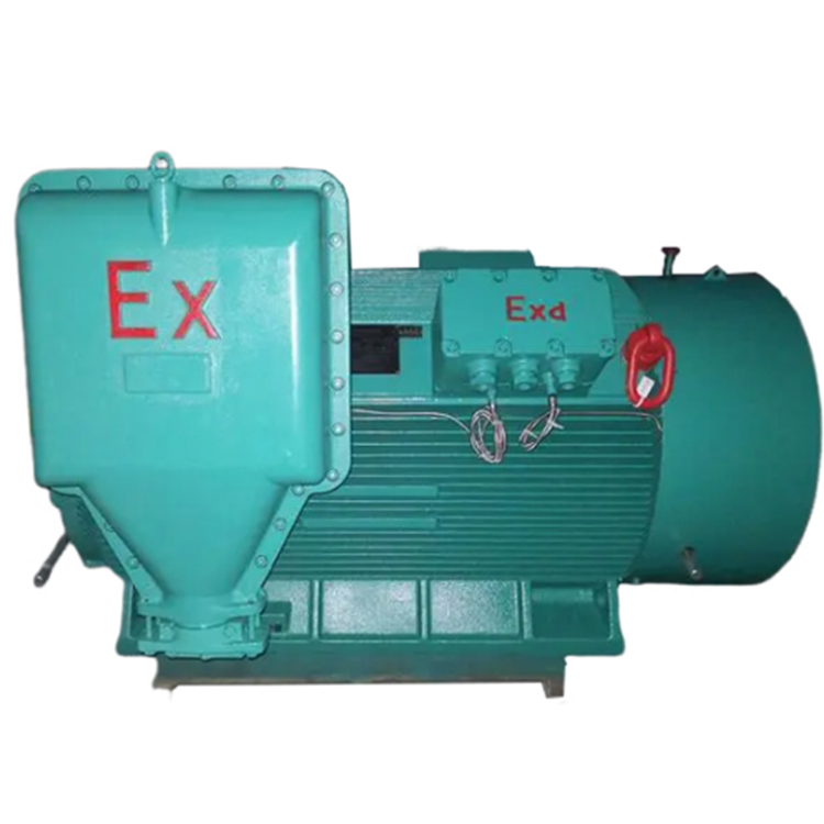 High Voltage Explosion Proof Motor