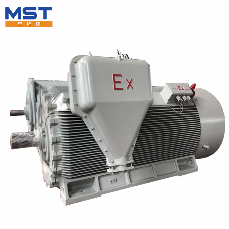 High Voltage Explosion Proof Motors