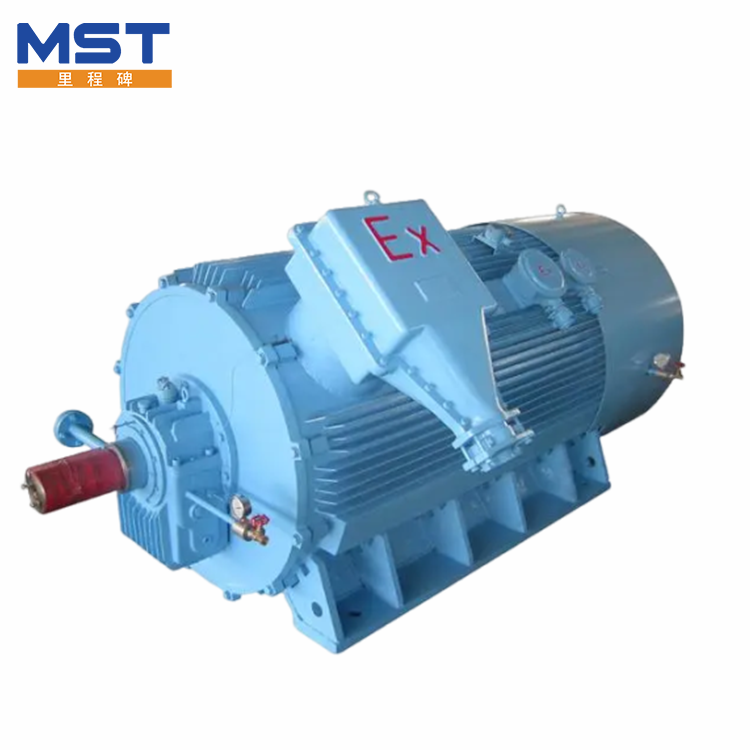 High Voltage Explosion Proof Motors