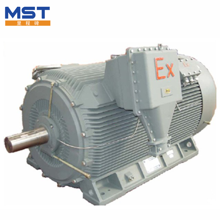 High Voltage Explosion Proof Motors