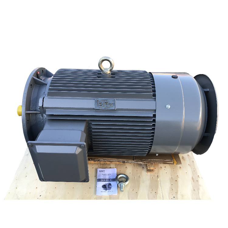 YE3-132M-4 High Efficiency Motor