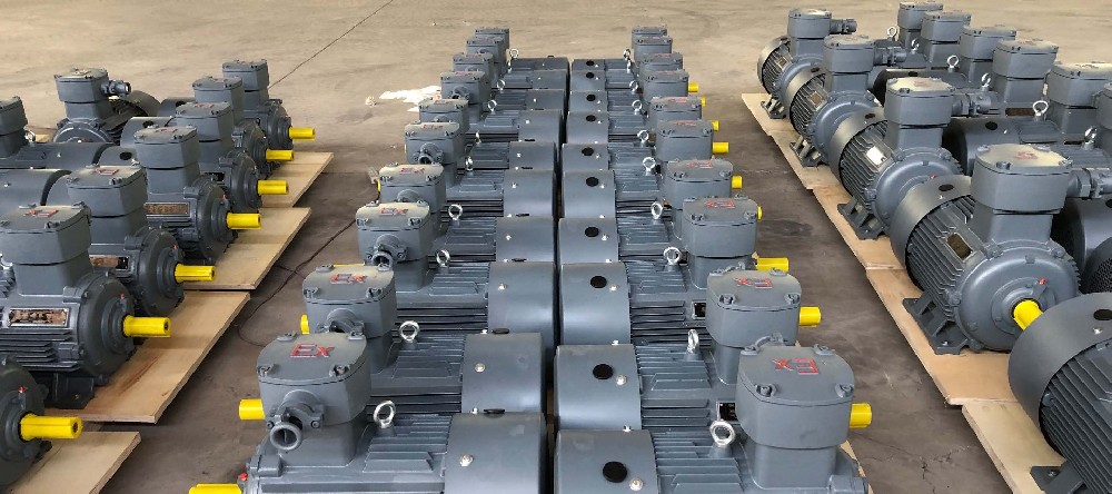 Explosion Proof Motor