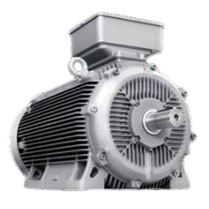 1MB0013 series low-voltage dust explosion-proof motor