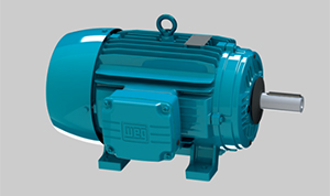 WEG series motor