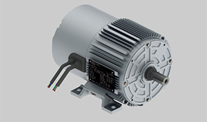 WEG series motor