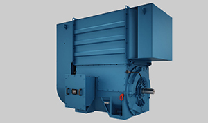 WEG series motor